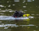 20260815-CWD-0266