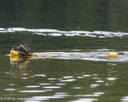 20260815-CWD-0276