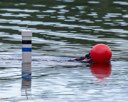20260815-CWD-0285