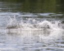 20260815-CWD-0299