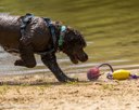 20260815-CWD-0303