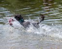 20260815-CWD-0308
