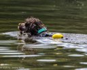 20260815-CWD-0310