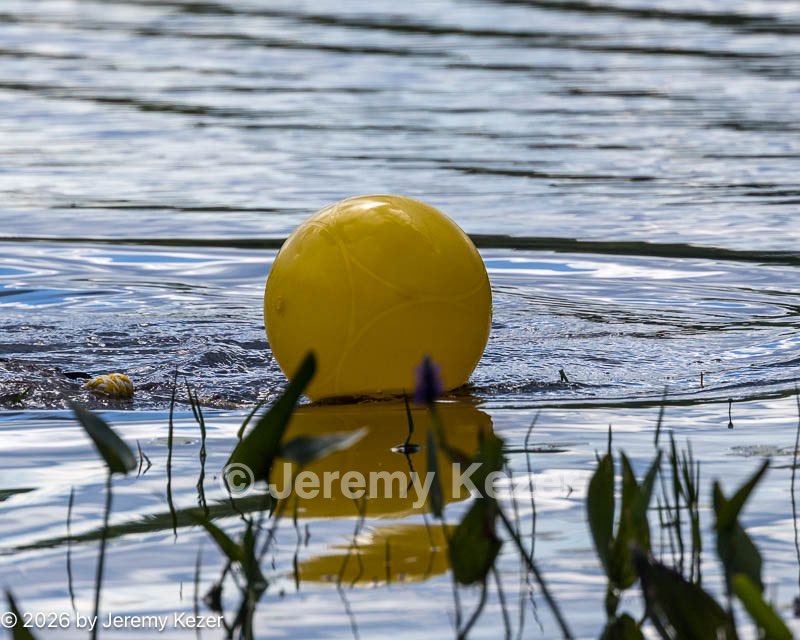 20260815-CWD-0336.jpg