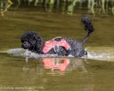 20260815-JWD-0032
