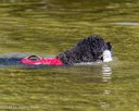 20260815-JWD-0042