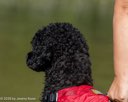 20260815-JWD-0047