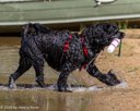 20260815-JWD-0071