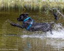 20260815-JWD-0094