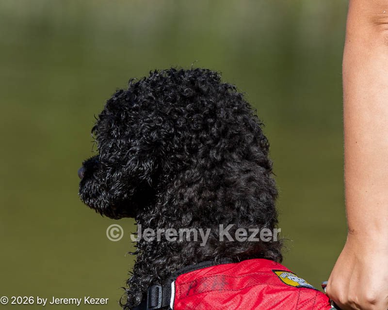 20260815-JWD-0047.jpg