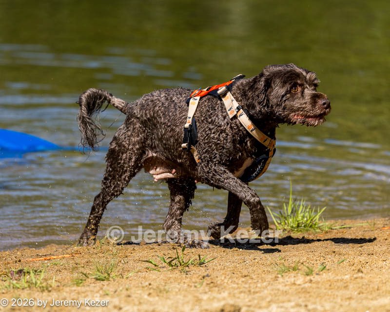20260815-JWD-0127.jpg