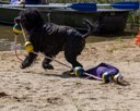 20260815-Master-0022