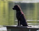 20260815-Master-0175