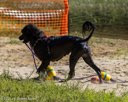 20260815-Master-0184