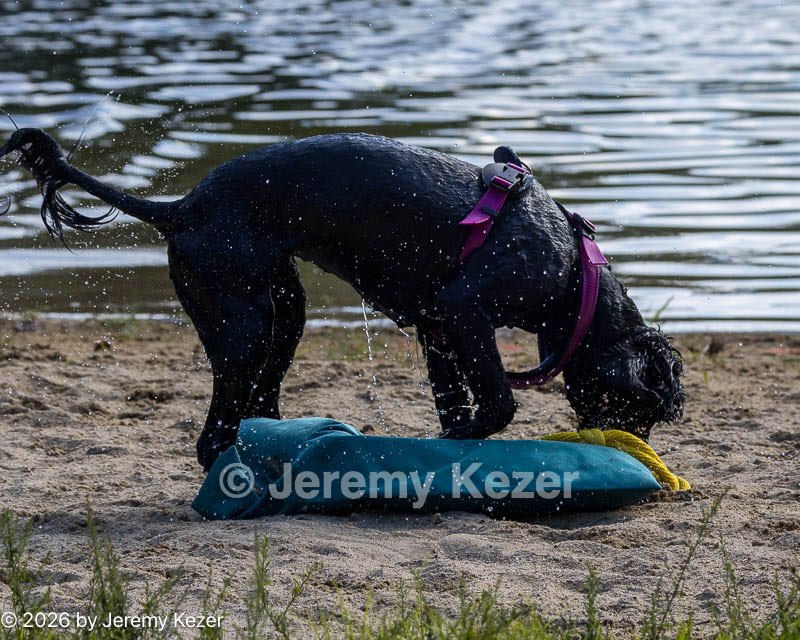 20260815-Master-0159.jpg