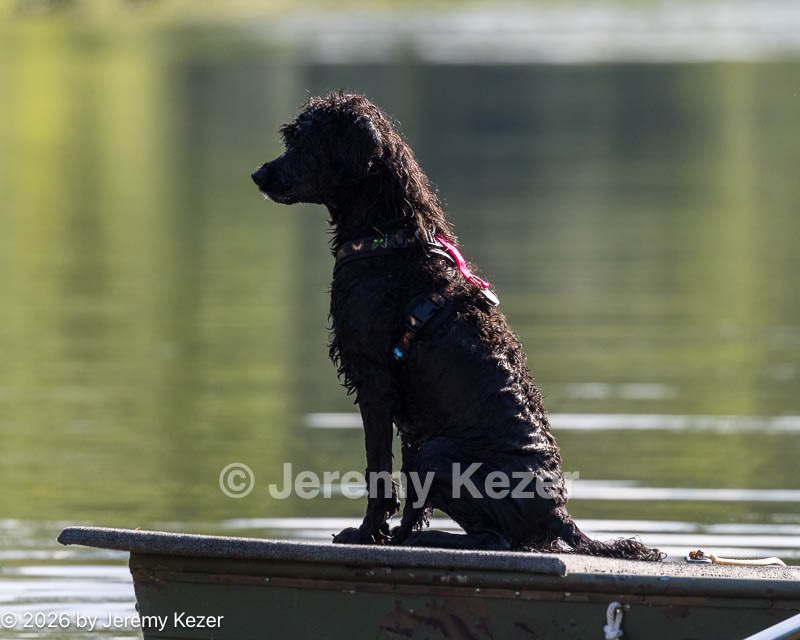 20260815-Master-0175.jpg