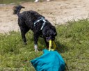 20260815-WWD-0002