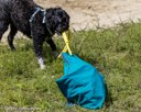 20260815-WWD-0003