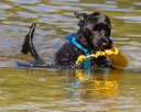 20260816-AWD-0127