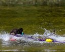 20260816-CWD-0038