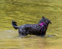 20260816-CWD-0063