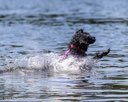 20260816-CWD-0086