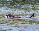 20260816-CWD-0127