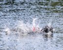 20260816-CWD-0206