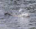 20260816-CWD-0224