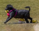 20260816-CWD-0228
