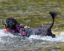 20260816-CWD-0231