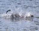 20260816-CWD-0238