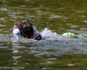 20260816-CWD-0273