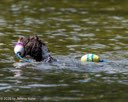 20260816-CWD-0274
