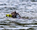 20260816-CWD-0282