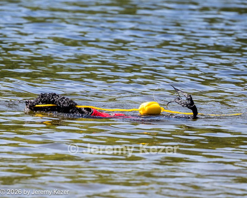 20260816-CWD-0132.jpg
