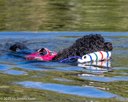 20260816-JWD-0007