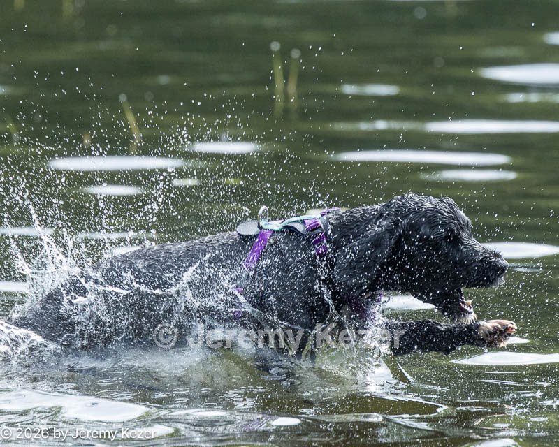 20260816-Master-0186.jpg