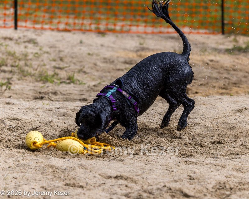 20260816-Master-0196.jpg