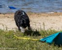 20260816-WWD-0001