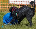 20260816-WWD-0009