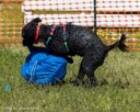 20260816-WWD-0010