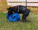 20260816-WWD-0011