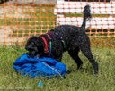 20260816-WWD-0013