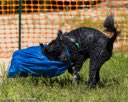20260816-WWD-0016