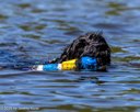 20260816-WWD-0036