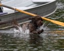 20260822-CWD-0042