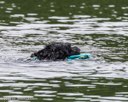 20260822-CWD-0151