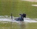 20260822-CWD-0155