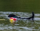 20260822-CWD-0159